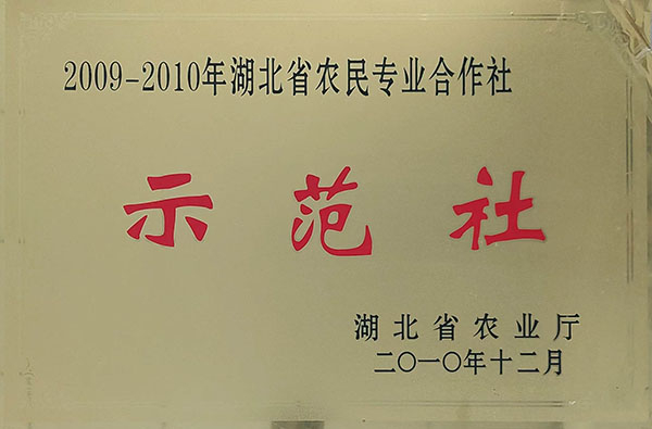 農(nóng)民專(zhuān)業(yè)合作社示范社